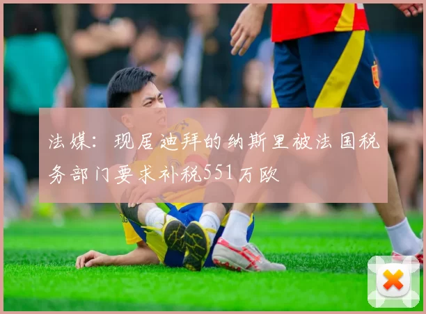 法媒：现居迪拜的纳斯里被法国税务部门要求补税551万欧