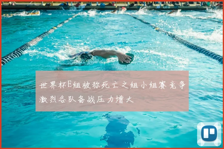 世界杯E组被称死亡之组小组赛竞争激烈各队备战压力增大
