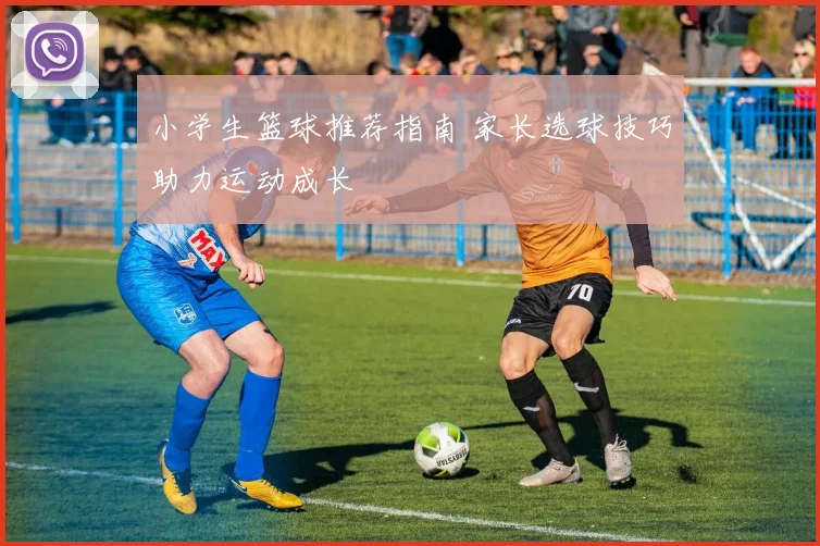 小学生篮球推荐指南 家长选球技巧助力运动成长