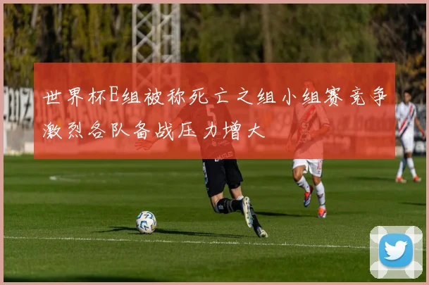 世界杯E组被称死亡之组小组赛竞争激烈各队备战压力增大