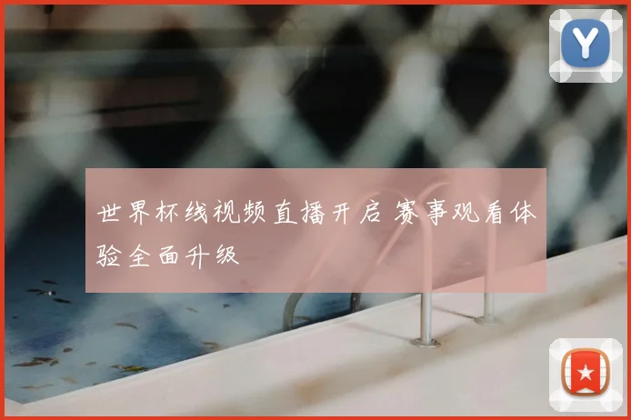 世界杯线视频直播开启 赛事观看体验全面升级