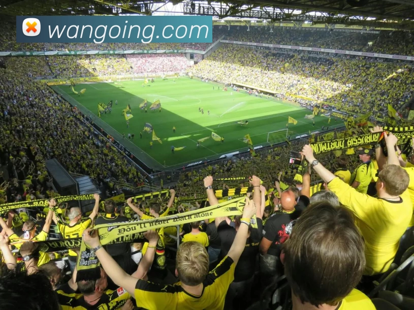 爱游戏app官网最新版品牌故事