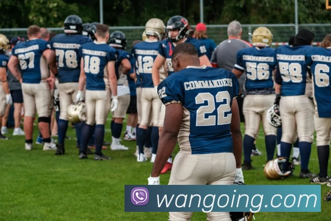 多媒体互动体验